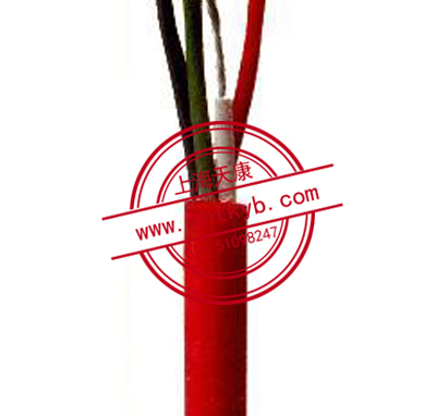 F46硅橡胶电缆